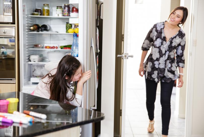 Child plays behind the door of a fridge while adult looks around trying to find them